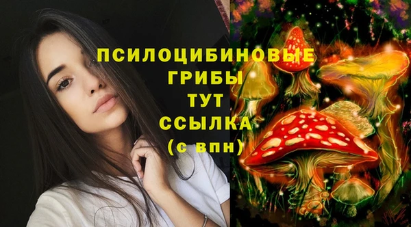 мет Белокуриха