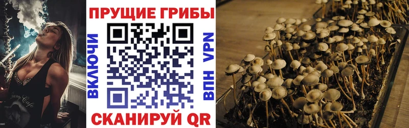Галлюциногенные грибы MAGIC MUSHROOMS  Верея 