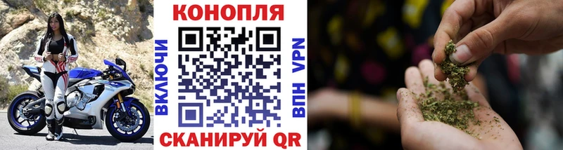 Каннабис VHQ Верея